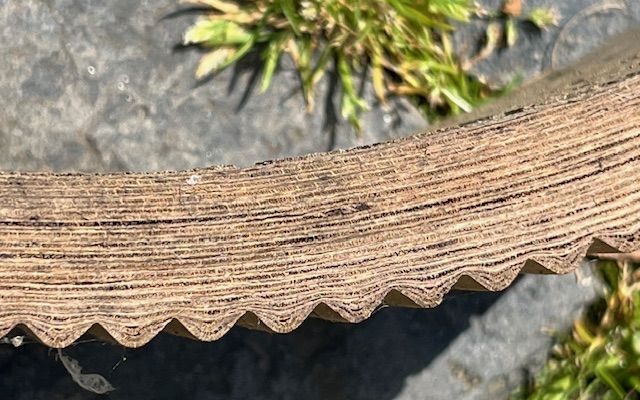 Formelement aus Schichtholz im Querschnitt, im Hintergrund graue Fläche und einzelne Pflanzen